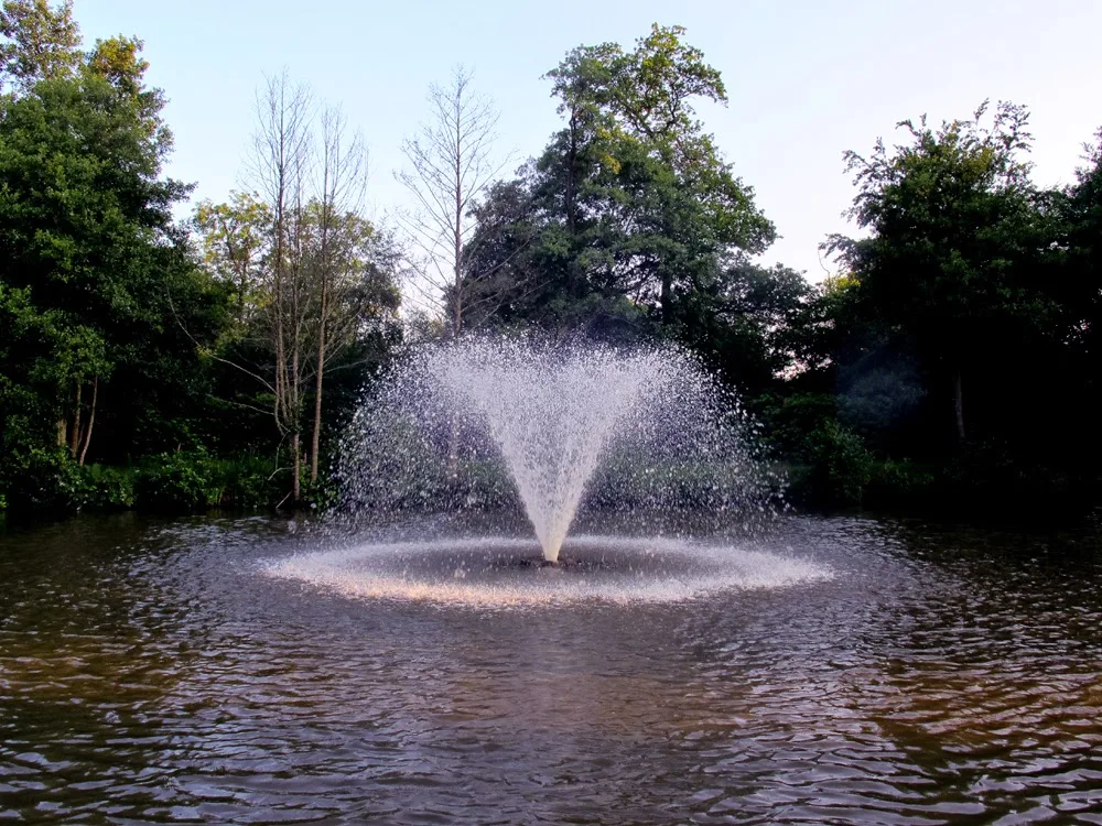 Ashdown Park Hotel garden fountain