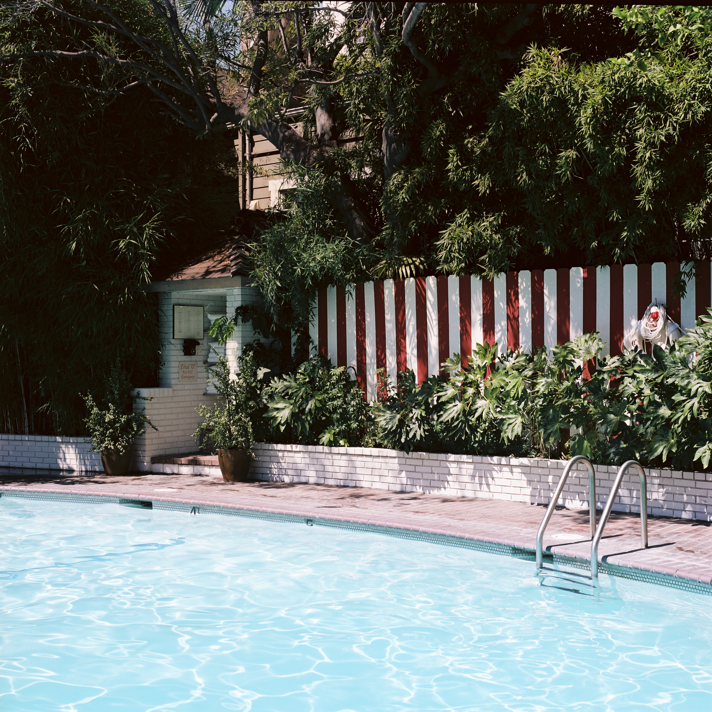 SCENE | Poolside at The Chateau