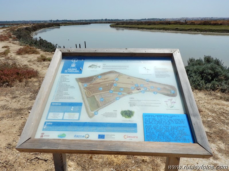 Ruta de los Esteros (Chiclana)