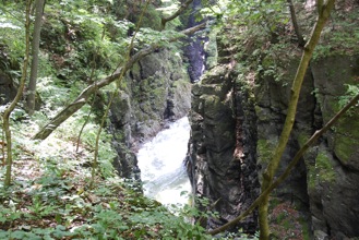 DSC 0079