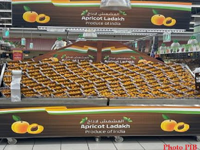 Union Territory of Ladakh: First consignment of Apricot exported to Dubai