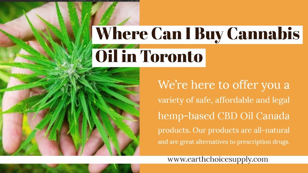 Where can i buy Cannabis Oil in Toronto