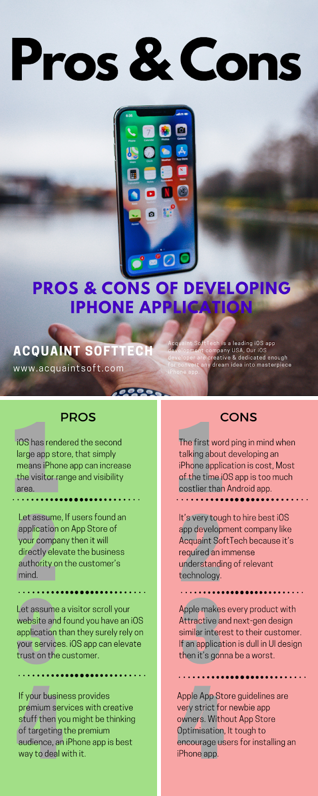  Pros and Cons of Developing iPhone Application