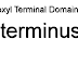 C-terminus - Carboxyl Terminal Domain