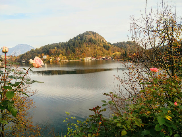 View from Bled island