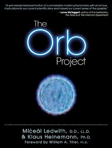 The Orb Project (English Edition)