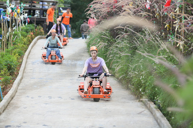 skyline jungle luge, skyline jungle luge chiang mai, skyline jungle luge in chiang mai, skyline jungle luge zipline, zipline skyline jungle luge, zipline skyline jungle luge chiang mai