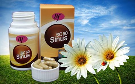 Pengedar Ubat Resdung Bella Formula Sinus Cure Jitra