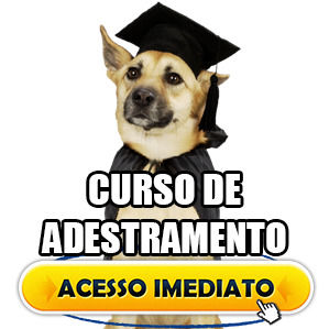 imagem do curso como ensinar seu cachorro em 2 semanas