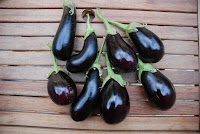 Récolte d'aubergines de mon potager