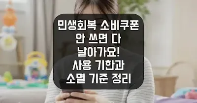 민생회복 소비쿠폰, 안 쓰면 다 날아가요! 사용 기한과 소멸 기준 정리 섬네일