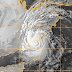 PH Consulate warned OFW's in Jeddah to prepare for cyclone Mekunu