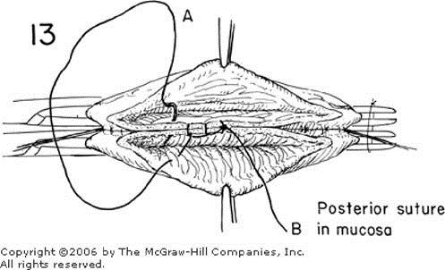 clip_image026