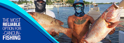 Family-Friendly Fishing Tours in Cancun! Take the Tips for a Great Catch 
