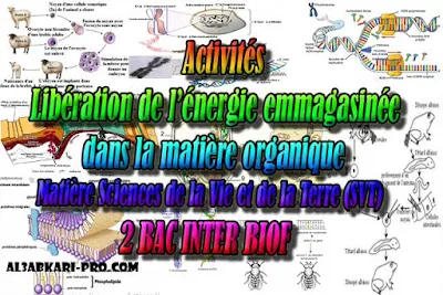 Activités Libération de l’énergie emmagasinée dans la matière organique 2 bac biof PDF , Sciences de la Vie et de la Terre biof, svt biof, 2 bac biof, Examen National, Devoir, 2 bac inter, PDF, baccalauréat international maroc, baccalauréat international, BAC, 2 éme Bac, Exercices, Cours, devoirs, examen nationaux, exercice, filière, 2ème Baccalauréat, prof de soutien scolaire a domicile, cours gratuit, cours gratuit en ligne, cours particuliers, cours à domicile, soutien scolaire à domicile, les cours particuliers, cours de soutien, les cours de soutien, cours online, cour online.