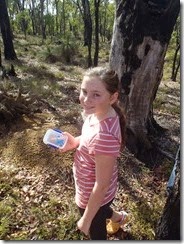 Geocaching - Wandoo Trail