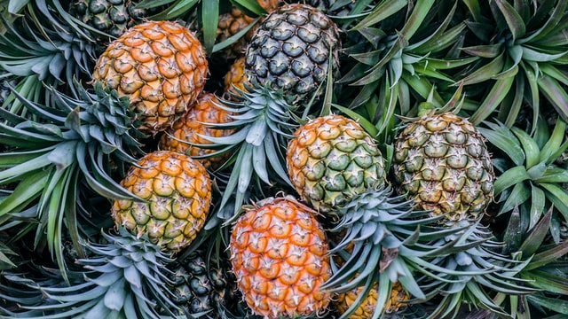 are pineapples good for health