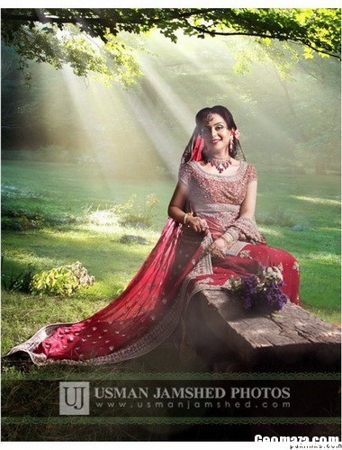 Pakistani Bridal Dresses 2011 Pakistani Wedding Dresses