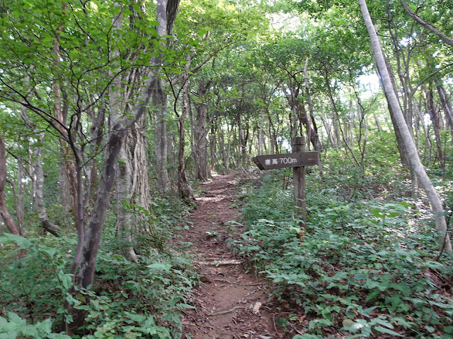 鳥取県西伯郡南部町東上の鎌倉山に登ります　このあたりから坂が急になります