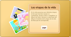  Etapas de la vida