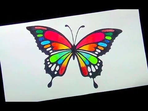 Butterfly Pic Art - Butterfly Pic Download - Butterfly Pic Drawing - Butterfly Wallpaper - projapoti pic - NeotericIT.com