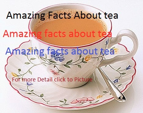 Tea Facts