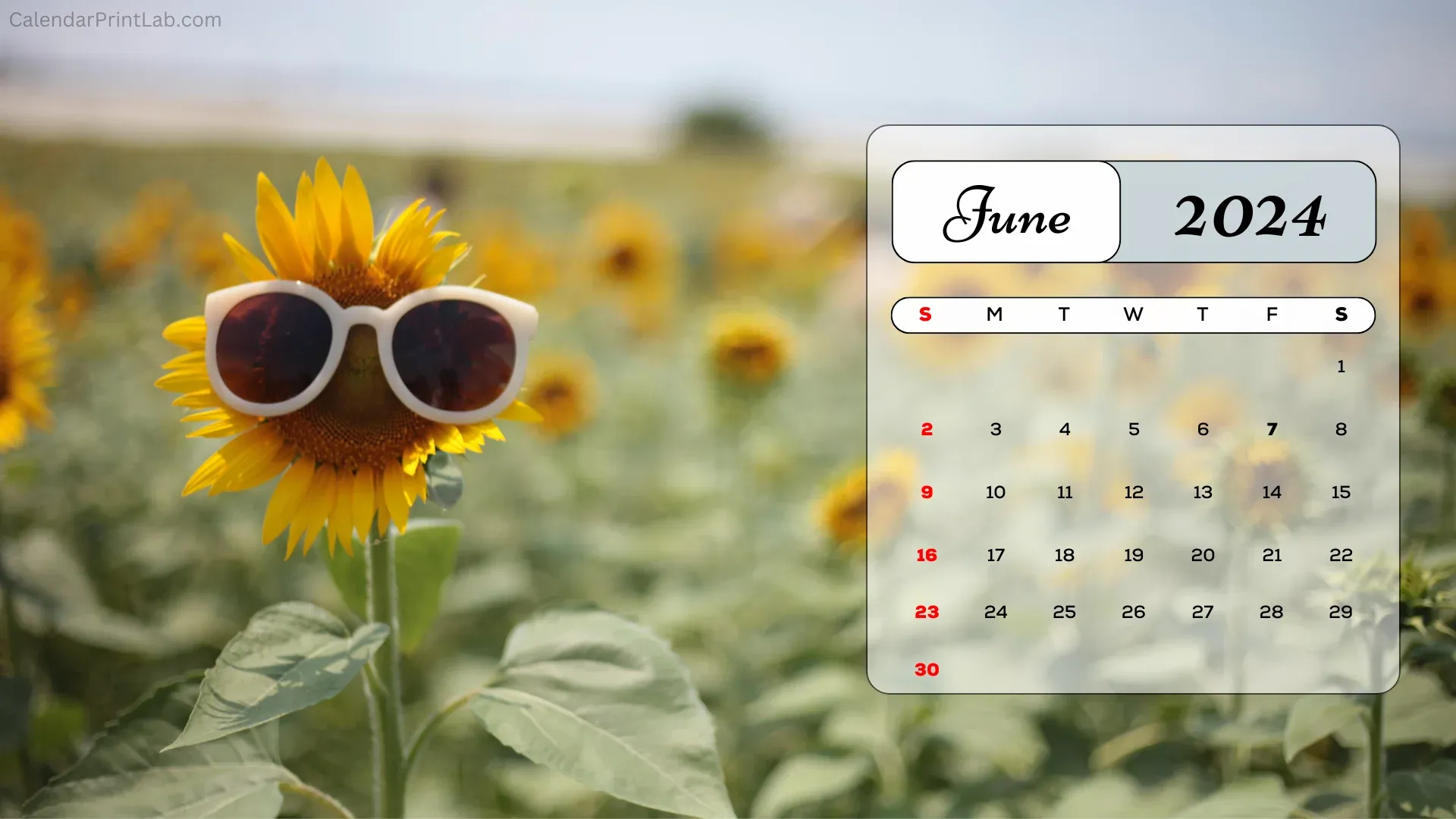 June 2024 Calendar Desktop Wallpaper