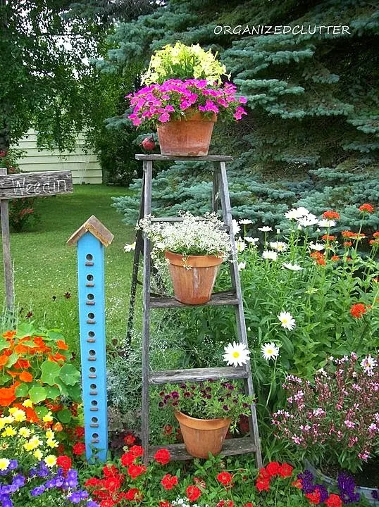 Planting in Terra Cotta Pots www.organizedclutterqueen.blogspot.com