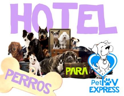 Hotel para Perros en Guatemala - "PetLov Express"