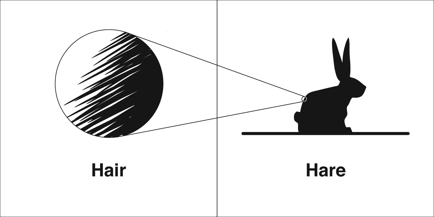 Homophones Weakly Hair Hare - 