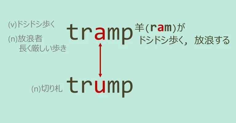 tramp, trump, スペルが似ている英単語