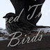 Feed The Birds
