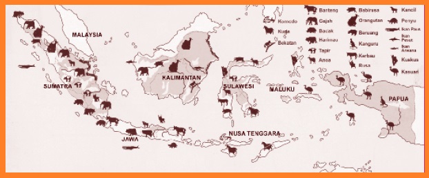  Persebaran  Flora  dan  Fauna  di Indonesia Flora  dan  Fauna  