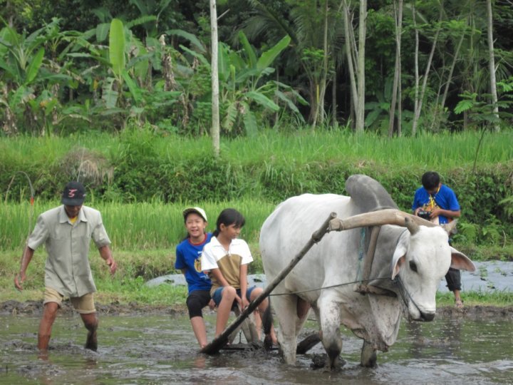 kampung gajah bandung 2015