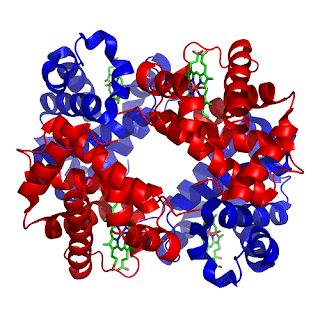 Deoxygenated Blood Colour