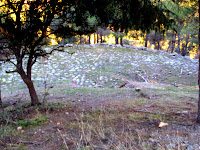 Cortijos Sierra Nevada.Jérez del Marquesado