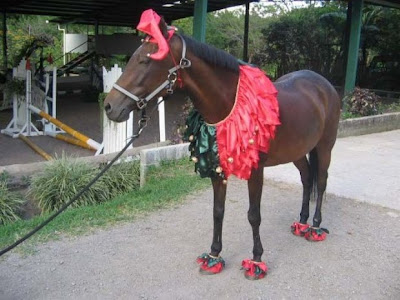 horse fancy dress