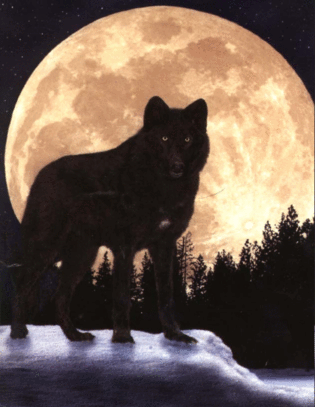 Full Wolf Moon � January
