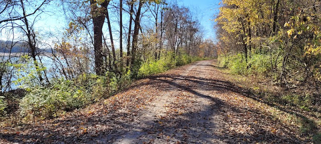 Gravel packed trail along a tree-lined river and covered in brown, dry fallen leaves.