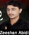 http://www.humaliwalayazadar.com/2018/02/zeeshan-abidi-nohay-2014-to-2018.html