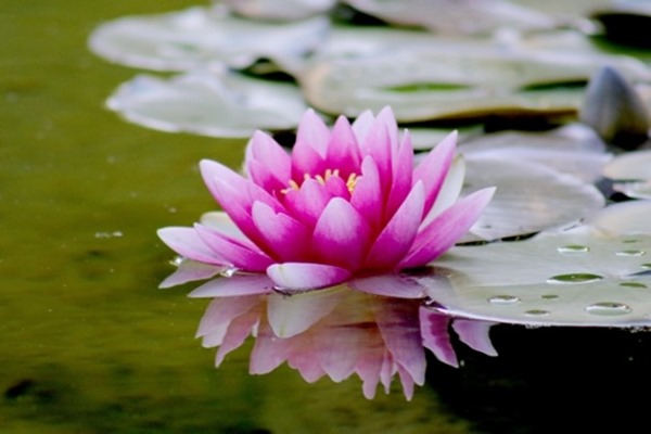 clip_image004