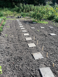 tuin ontgonnen