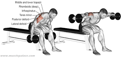 Shoulders Workout for Mass