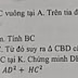  Cho tam giác ABC vuông tại A. Trên tia đối của tia AB lấy điểm D sao cho AB= AD.