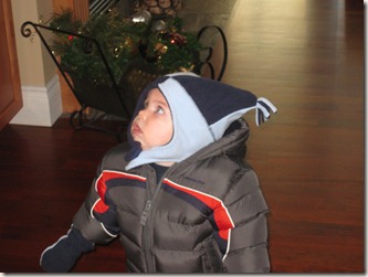 will bundled