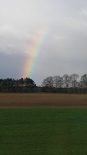 Rainbow over a field