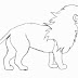 Lion Drawing Pictures