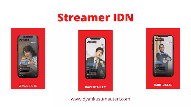 idn streamer