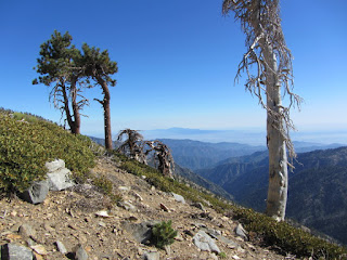 View south from Pacific Crest Trail
