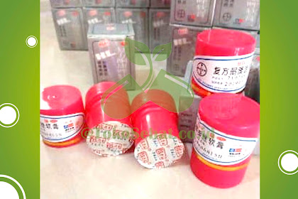 Salep Gatal Pi Kang Wang